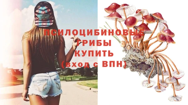 прущий лед Пестово