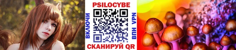 Псилоцибиновые грибы мухоморы ОМГ ОМГ вход Звенигород даркнет сайт